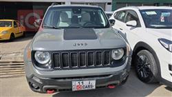 جيب رينيجيد